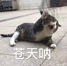 AI搜索一夜变天，专为Agent做搜索的赛道能否诞生百亿美金新巨头？
