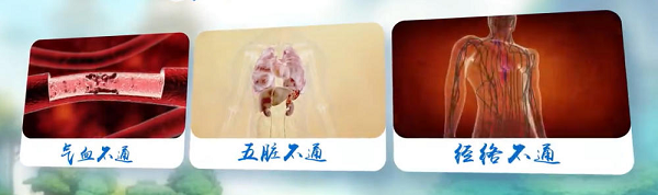 “神仙不老丸”以古方为钥开启人体自愈之门