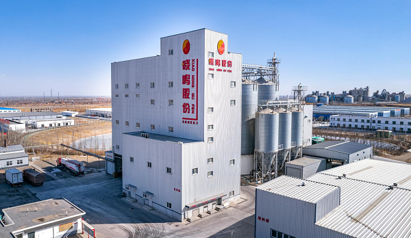 日发电超2000度,晓鸣股份以“光牧协同”铺就农业绿色转型路