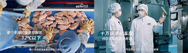 产品是硬实力，信赖是软实力：央视网解码鲜朗如何赢得市场双重认可