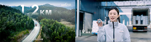 产品是硬实力，信赖是软实力：央视网解码鲜朗如何赢得市场双重认可