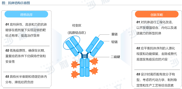 沙利文《全球抗体药物行业发展蓝皮书》权威发布，赛业生物入选重点企业案例
