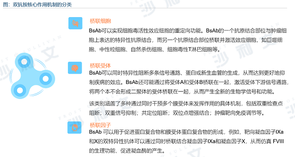 沙利文《全球抗体药物行业发展蓝皮书》权威发布，赛业生物入选重点企业案例