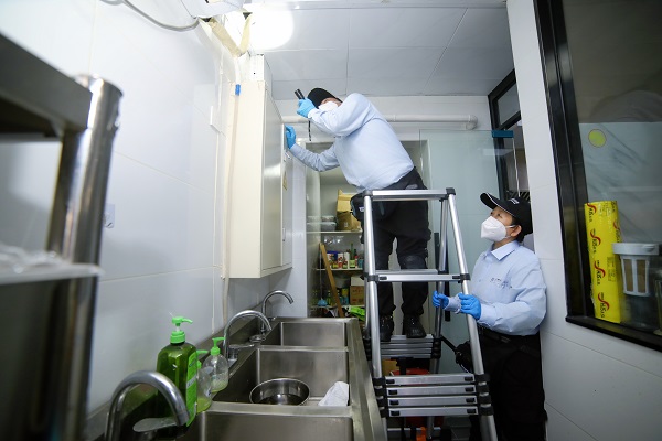 史伟莎以专业筑牢公共卫生安全防线，打造虫害防治行业领军品牌