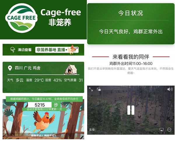 叮咚买菜上线“无笼好蛋”，成首个主推非笼养鸡蛋即时零售平台