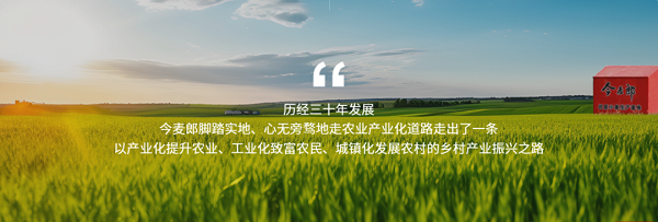 全域数字化升级，赋能高效履约——慧策旺店通助力今麦郎电商业务全域进阶
