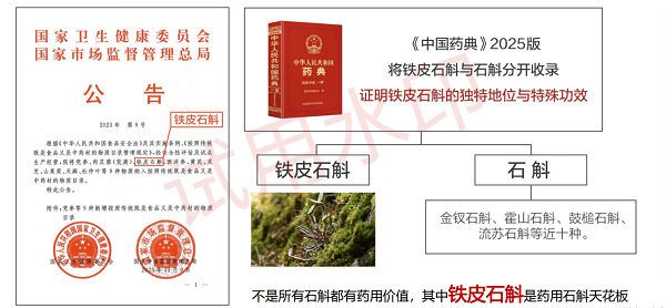 主流石斛原浆多维解析：铁皮石斛原浆为何成为滋补主流选择？