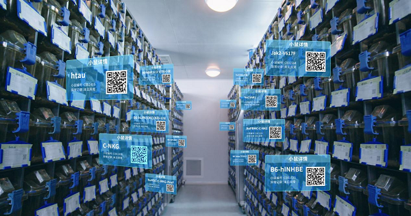 赛业生物繁育体系正式升级！CCMS 3.0：以全生命周期智能化管理定义实验动物质量新标杆