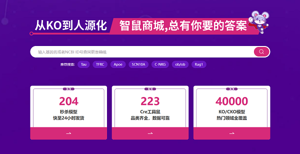 一只实验小鼠背后的科研革新：赛业生物智鼠商城，超4万模型打通生物医药研发快车道