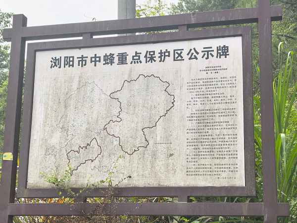 秋日寻蜜访深山&mdash;明园蜂业总经理王琴率团队赴浏阳永和镇开展蜜源地探索之旅