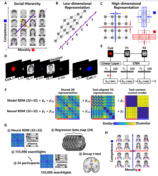 岩山科技联合中科院团队，脑认知神经机制最新成果登顶刊《NeuroImage》